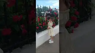 как вам такой вариант? продолжать? на стол-готлиб
