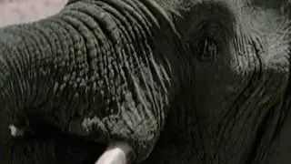 Tanzania - National Parks