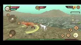 Cat Sim Part 149