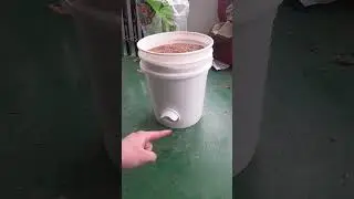 $5 BUCKET chicken feeder #homesteading #chickens #farm
