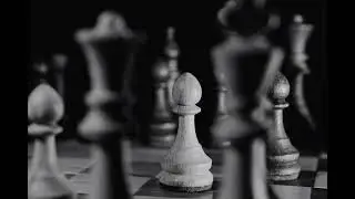 Your move for your life