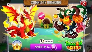 NEW BREEDING: High Flame Dragon vs High Hallows Dragon | DRAGON CITY 2025! 😱