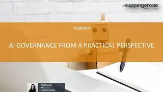 AI Governance From a Practical Perspective