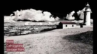 Blake Calmingtone - Vantage Point