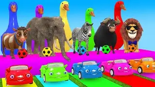 Guess the Right Car. 5 Giant Duck Cartoon: Cow, Elephant, Lion, T-Rex. Paint Wild Animals Animation