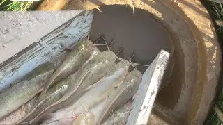 Unique Fish Trapping | Build Deep Hole Underground Fish Trap Using Clay Pot & Bamboo