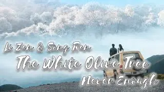 The White Olive Tree 🕊️​ Li Zan & Song Ran 🕊️​ Never Enough 🕊️​ FMV