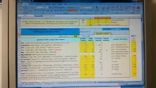 How to use DSR calculator (dutch version)