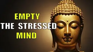 Zen Stories That Empty the Mind and Release Stress | Buddhist Teachings on Solitude