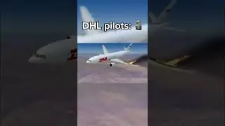 DHL pilots 🗿(Remake) #avaition #airplane #crash