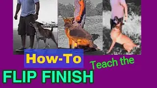 How to Train the Heel/Flip Finish