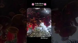 Chitai Golu Devta Temple &ndash; The God of Justice | Bells of Faith in Uttarakhand 🔔 #chitai