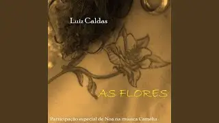L&iacute;rio