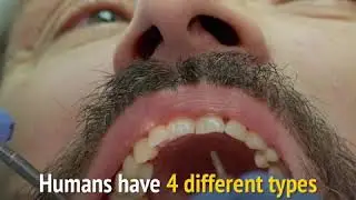 Teeth are as unique as the fingerprints! No two people have the same teeth!