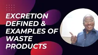 Excretion Defined & Examples of Metabolic Waste