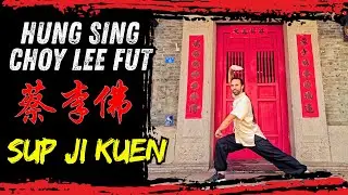 SUP JI KUEN | HUNG SING CHOY LEE FUT ✅️