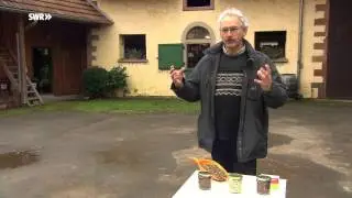 H&uuml;lsenfr&uuml;chte - Vegane Power-Proteine SWR Landesschau Rheinland Pfalz