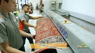 Citrus Fresh Carpet & Rug Cleaning Services 2023