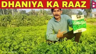 DHANIYA KA RAAZ 🌿 |  Nepal mein Desi Kheti aur Kal ka India Safar 🇮🇳 | Day :7 Rozke Vlogs Kaisa hai