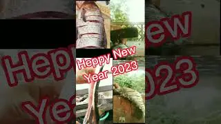 cutting fish to welcome the new year 2023!!#cutting#new year2023