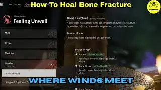 How To Heal Bone Fracture Where Winds Meet