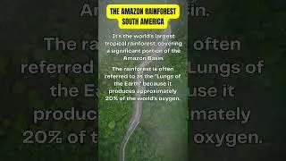 The Amazon Rainforest, South America #shorts #amazonrainforest #southamerica #ExploreTheAmazon