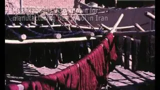 Kendall oriental rug cleaning