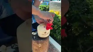 Enjoy a delicious coconut at the beach in Royal Solaris Canc&uacute;n! 🥥✨