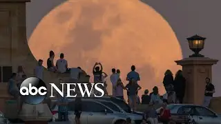 What is a super wolf blood moon?