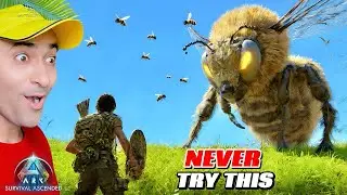 BIG MISTAKE😱I TAMED THE QUEEN BEE WITHOUT GHILLIE SUIT | ARK SURVIVAL ASCENDED
