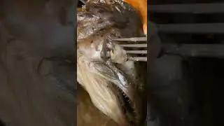Фаршированные глаза сёмги с просекко secco! #food, #trip, #travel, #prosecco, #cibo, #fish, #обзор