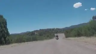 NM15