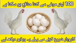 100 لیئر مرغی سے کتنا منافع ہو سکتا ہے؟ | White Layer ?Poultry Farming in Pakistan | Loss or Profit 