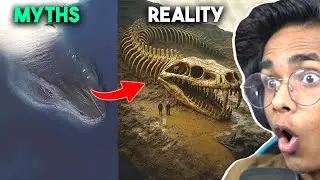 Mythical Creatures That Really Existed