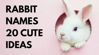 CUTEST RABBIT NAMES! 🐰💕 Which one do you like the most?