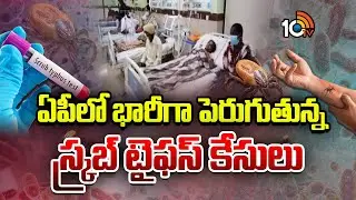 ఏపీలో భారీగా పెరుగుతున్న స్క్రబ్ టైఫస్ కేసులు | Scrub Typhus In AP | 10TV News