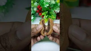 Dark Fantasy Choco Fills ASMR 😍 | #cake #testy #shortvideo #vairal #trending