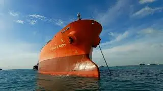 Ship in Port SINGAPORE (PSA) 