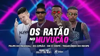 FELIPE DO PÁSCOAL, EO CIFRÃO, DN O CHEFE E MC THIAGUINHO DO RECIFE - OS RATÃO NO MUVUCÃO -BREGA FUNK