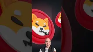 Why is SHIBA INU COIN Down Right Now? #crypto