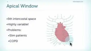 Introduction to the Apical Window