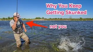 3 Reasons Why You're Getting SKUNKED (And How To Fix Them)