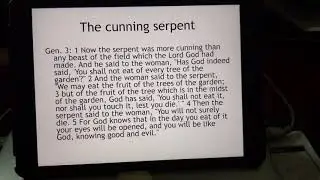 Saturday June 12, 2021 THE CUNNING SERPENT