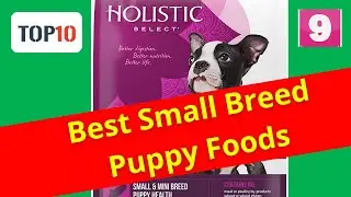 Top 10 Best Small Breed Puppy Foods- Holistic Select (Reviews)✅Part 9