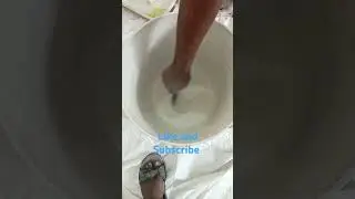Berger interior primer #shorts #paint #ytshorts