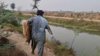 Fishing hunting In Pakistan l Jal Fish hunting l Gola Fishing hunting