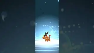 Tepig to Pignite! 🚀 Epic Pokemon GO Evolution! | #PokemonGO