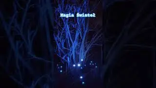 Niesamowita magia świateł #amazing #trip #lights