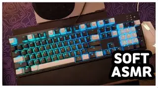 【SLOW ASMR】 ABKO K995 V3⌨️ | Noppoo (NIZ EC) | Keyboard Typing ASMR | No ADs No Talking😴