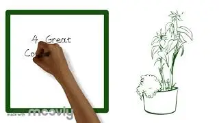 7 reasons to interiorscape your event.